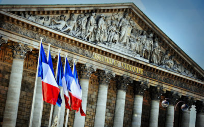 Bientôt une Charte du Numérique dans la Constitution française ?